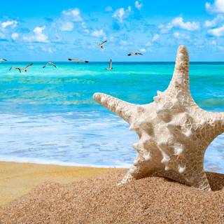 Desktop view wallpaper