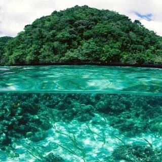 Desktop view wallpaper