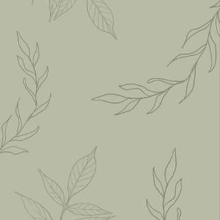 Sage iPhone wallpaper