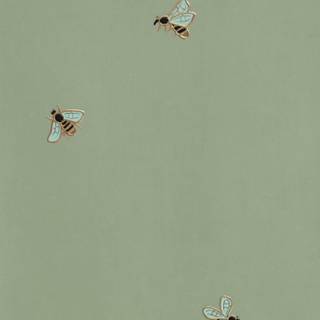 Sage iPhone wallpaper