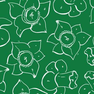 Sage iPhone wallpaper