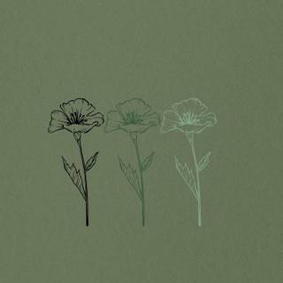 Sage iPhone wallpaper