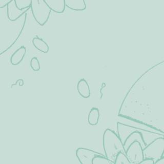 Sage iPhone wallpaper