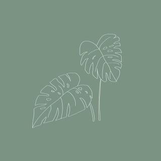 Sage iPhone wallpaper