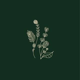 Sage iPhone wallpaper