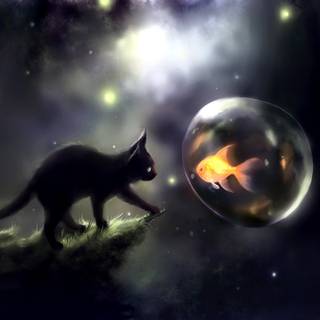 Cat fantasy wallpaper