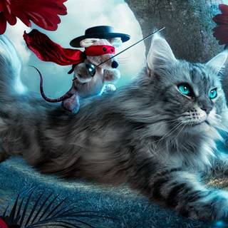 Cat fantasy wallpaper