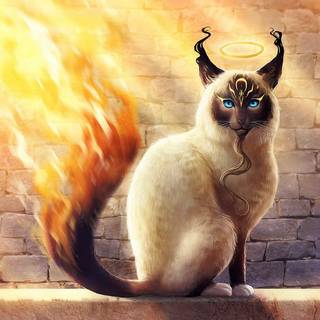 Cat fantasy wallpaper