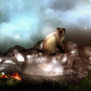 Cat fantasy wallpaper