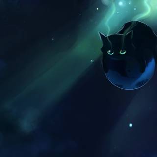 Cat fantasy wallpaper