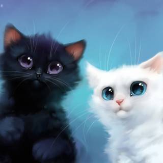 Cat fantasy wallpaper