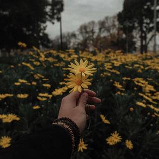 PC grunge aesthetic wallpaper