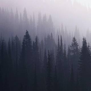 PC grunge aesthetic wallpaper