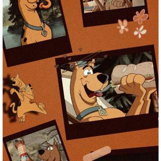 Scooby Doo fall wallpaper