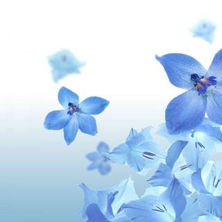 Blue summer flowers wallpaper