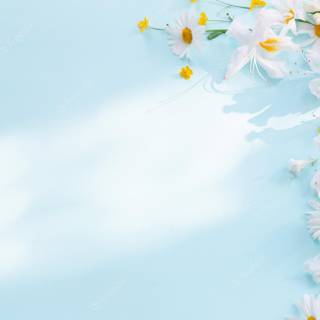 Blue summer flowers wallpaper