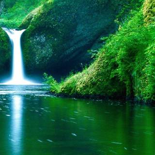 4k nature laptop wallpaper