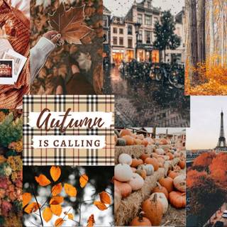 Autumn aesthetic Mac wallpaper