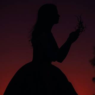 Authentic princess iPhone wallpaper