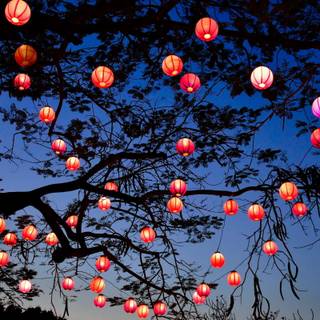 Magical lanterns wallpaper
