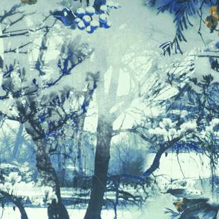 Jean Paul Gaultier wallpaper