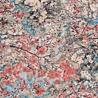 Jean Paul Gaultier wallpaper