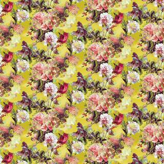 Jean Paul Gaultier wallpaper