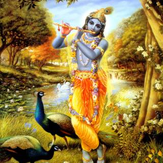 Krishna and Sudama wallpaper