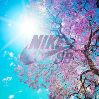 Summer aesthetic Nike wallpaper