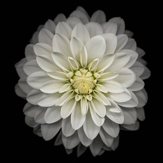 4k iPhone 8 wallpaper