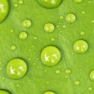 4k water mobile wallpaper