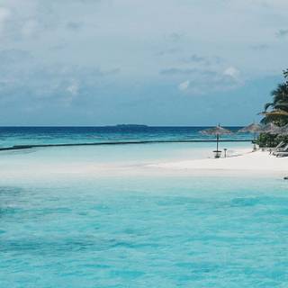 4k iPhone 8 wallpaper