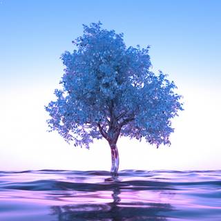 4k water mobile wallpaper