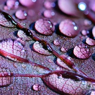 4k water mobile wallpaper