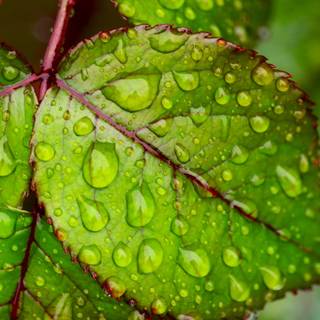 Environment 4k wallpaper