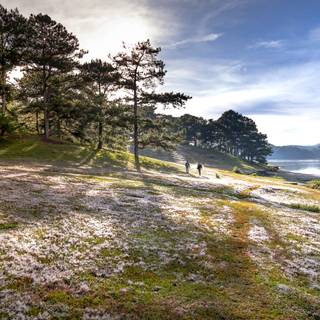 Environment 4k wallpaper