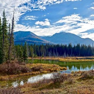 Environment 4k wallpaper