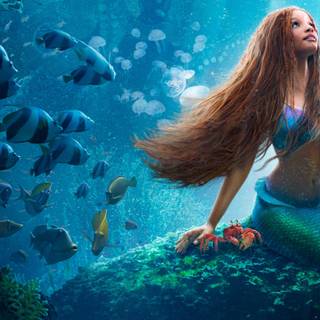 4k swimming wallpaper