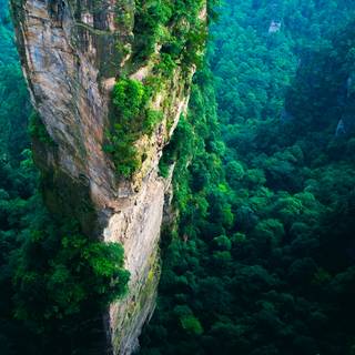 iPad green wallpaper