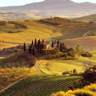 Italian countryside wallpaper