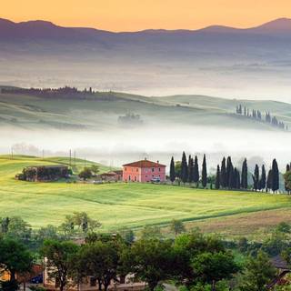 Italian countryside wallpaper
