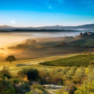 Italian countryside wallpaper