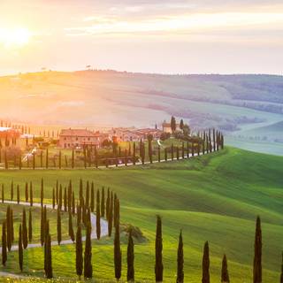 Italian countryside wallpaper