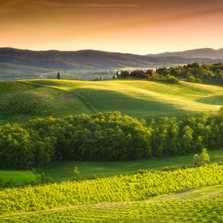 Italian countryside wallpaper