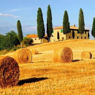 Italian countryside wallpaper