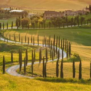Italian countryside wallpaper