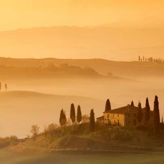 Italian countryside wallpaper