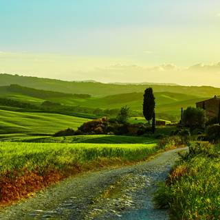 Italian countryside wallpaper