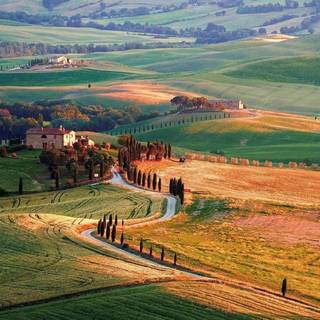 Italian countryside wallpaper