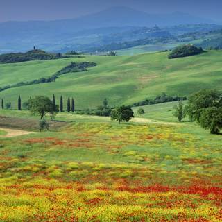 Italian countryside wallpaper
